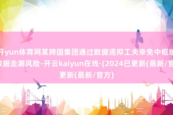 开yun体育网某跨国集团通过数据遏抑工夫幸免中枢绩效数据走漏风险-开云kaiyun在线·(2024已更新(最新/官方)