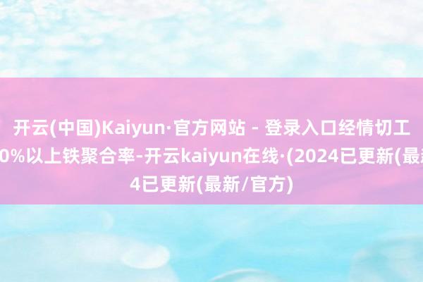 开云(中国)Kaiyun·官方网站 - 登录入口经情切工艺保留80%以上铁聚合率-开云kaiyun在线·(2024已更新(最新/官方)